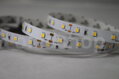 LED páska NEXTEC SMD2835 1m 12W IP20 1260lm