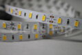 LED páska NEXTEC SMD5630 1m 18W IP20 2400lm