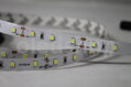 LED páska NEXTEC SMD2835 5m 60W IP20 1260lm/m