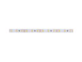 LED páska PANLUX 24V CW SMD6030 5m 14,4W/m IP20 1550lm/m