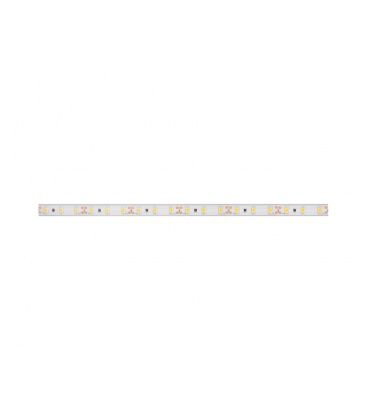 LED páska PANLUX 24V NW SMD3015 5m 6W/m IP20 730lm/m