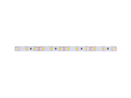 LED páska PANLUX 24V CW SMD6030 5m 14,4W/m IP20 1550lm/m