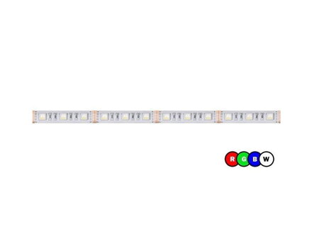 LED páska PANLUX RGBW 24V 5m 14,4W/m 16mm 5050 IP20