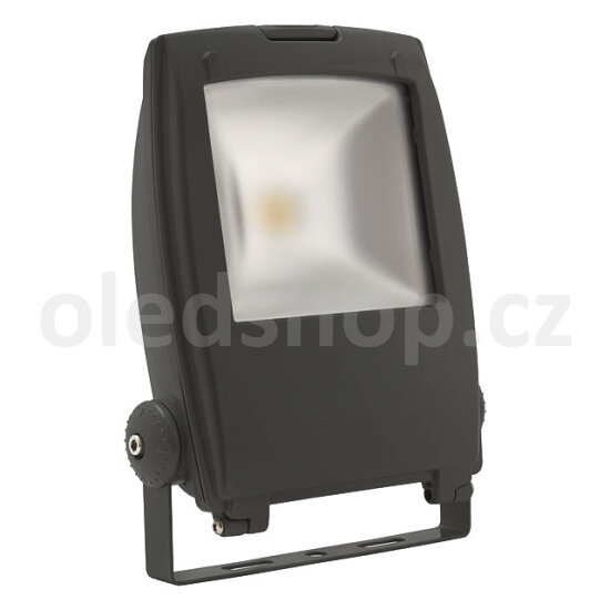 LED reflektor 50W RINDO LED MCOB-50-GM, 230V, IP65