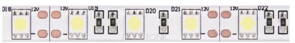 LED páska NEXTEC SMD5050 1m 9,6W IP63 900lm/m